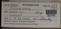 Image Associated With the Occurence